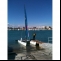 Katamaran  Hobie cat  18 turbo Bild 2 